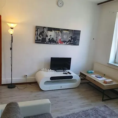 Bright & Spacious 3-bedroom Flat Apartmán Clausthal-Zellerfeld
