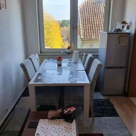 Bright & Spacious 3-bedroom Flat Clausthal-Zellerfeld